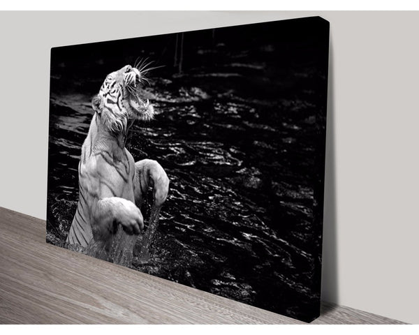 Roar Of The Tiger Wall Art Impact Imagery Dunn Furniture - Online Office Furniture for Brisbane Sydney Melbourne Canberra Adelaide