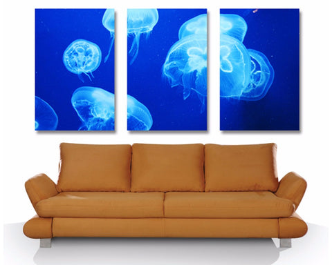 Jelly Fish Triptych 3 Piece Wall Art 3 Piece Wall Art Dunn Furniture - Online Office Furniture for Brisbane Sydney Melbourne Canberra Adelaide
